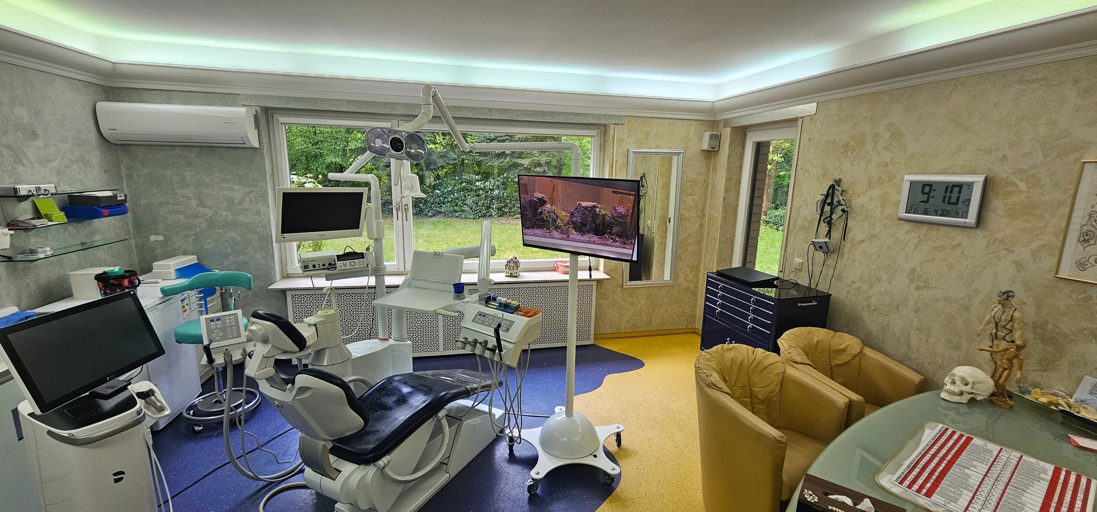 Dentist